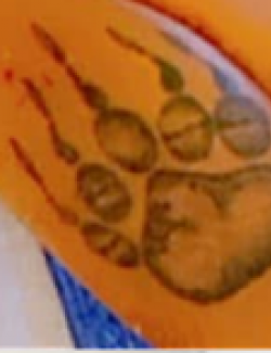 Calf tattoo