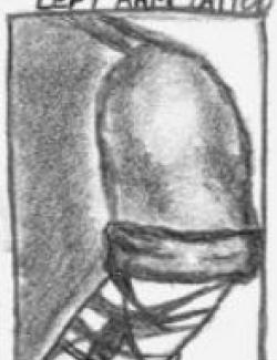 Unidentified Male Police sketch of triball tattoo left arm